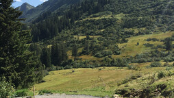 Gemäßigter Abstieg von der Schwarzwasserhütte zur Alpe Melköde | © Kleinwalsertal Tourismus eGen
