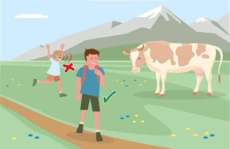 Safe mountain pastures - Rule 2 | ©  Federal Ministry for Sustainability and Tourism