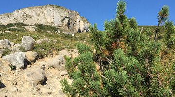 In Serpentinen zur Ifenmulde