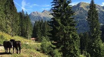 Bei der Duraalpe