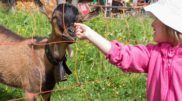 Tierische Begegnungen möglich