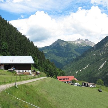 Am Erlenboden