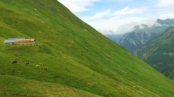Querung Richtung obere Spitalalpe (unbewirtschaftet)