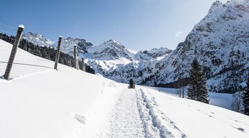 Wildental