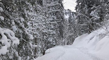 Winterwanderweg im Bärgunttal