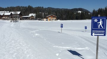 Winterwanderung in der Schwende