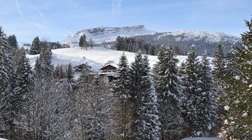 Blick auf den Ifen