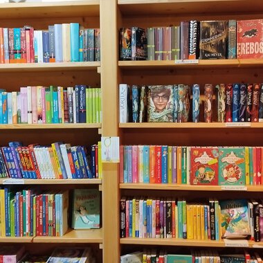 Ein Bücherregal mit vielen bunten Büchern. Die Bücher sind in mehreren Reihen ordentlich angeordnet. | © Kleinwalsertal Tourismus | N. Lughammer