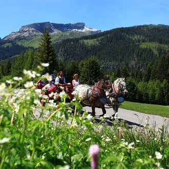 A carriage ride through a picturesque landscape with mountains in the background. Green meadows and blooming flowers line the road.