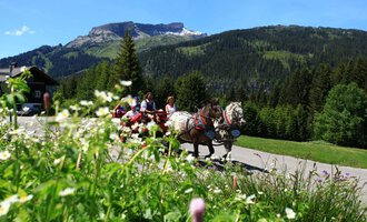 A carriage ride through a picturesque landscape with mountains in the background. Green meadows and blooming flowers line the road.