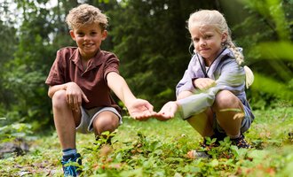 Two children are playing in the forest. They are kneeling on the ground and showing something in their hands. | © Kleinwalsertal Tourismus | Oliver Farys