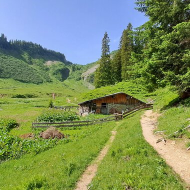 A picturesque mountain cabin surrounded by green meadows and trees. A narrow path winds through the landscape. | © Kleinwalsertal Tourismus | Steffen Stöhr