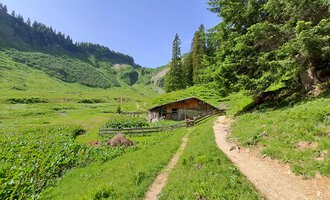Eine malerische Berghütte umgeben von grünen Wiesen und Bäumen. Ein schmaler Weg führt durch die Landschaft. | © Kleinwalsertal Tourismus | Steffen Stöhr