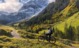A cyclist rides through a green landscape with mountains in the background. The scene shows a mix of forests and meadows under a clear sky. | © WalserBike Tours | Christian Gutermuth