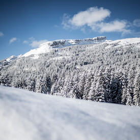 View to the Ifen | © Kleinwalsertal Tourismus eGen | Photographer: Dominik Berchtold