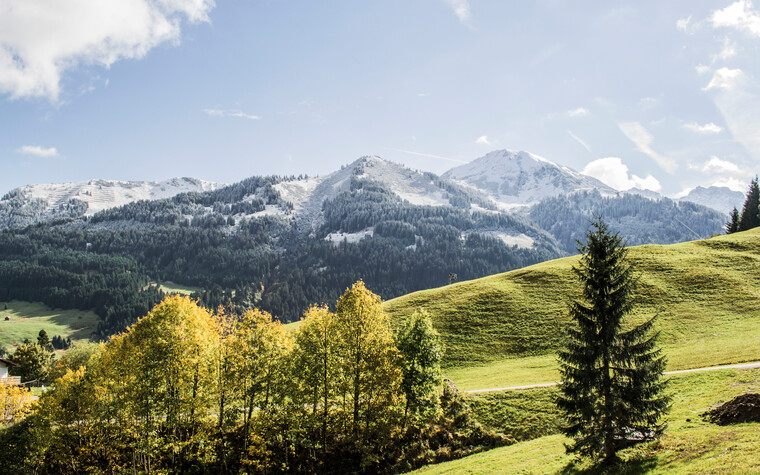 Herbststimmung in Hirschegg | © Kleinwalsertal Tourismus eGen | Fotograf: Carolin Schratt