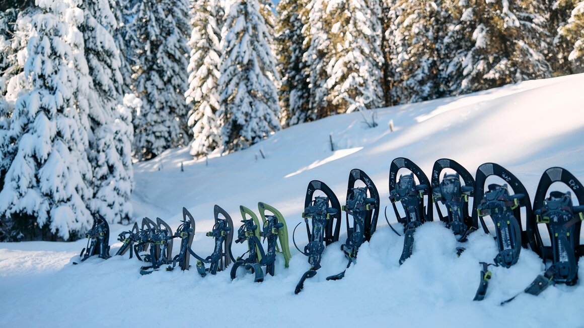 Huskycamp im Kleinwalsertal | © Kleinwalsertal Tourismus | Oliver Farys