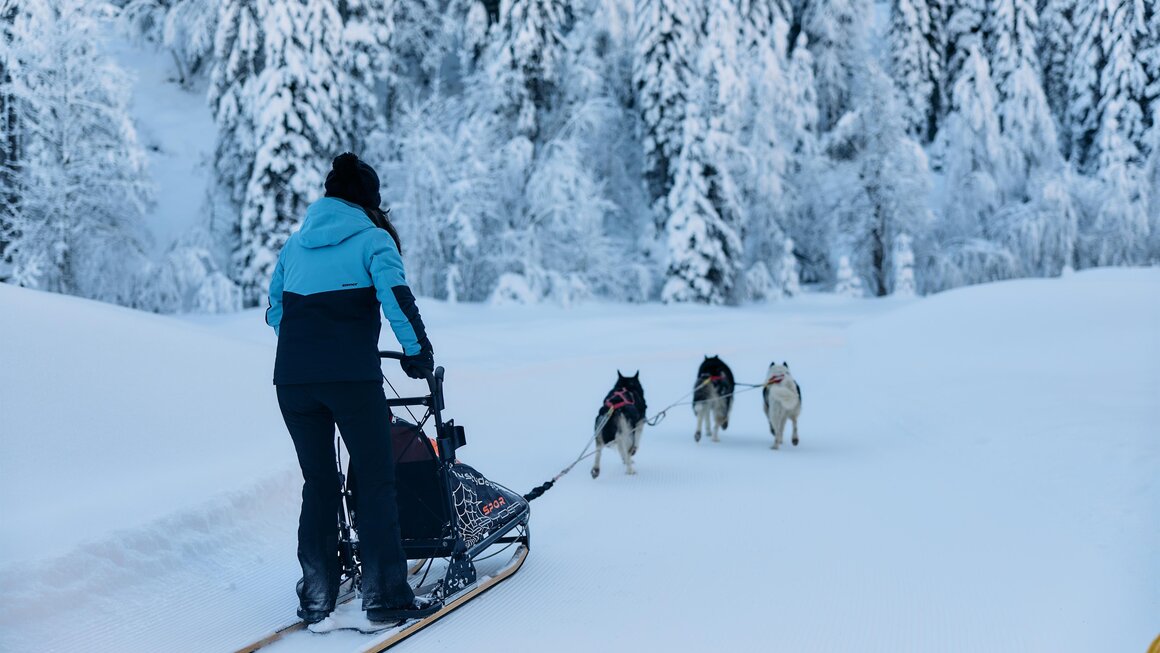 Huskycamp Kleinwalsertal | © Kleinwalsertal Tourismus | Oliver Farys