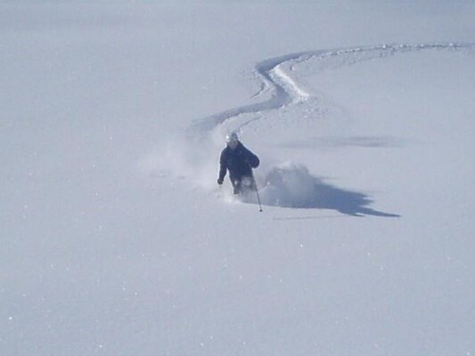 Tiefschneefahrer