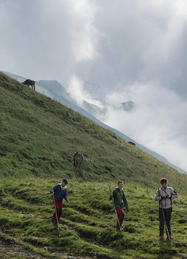 Three hikers on a lush green mountain meadow with clouds and the Widderstein in the background, with other hikers in the distance. | © Kleinwalsertal Tourismus eGen • Photographer: Andre Tappe