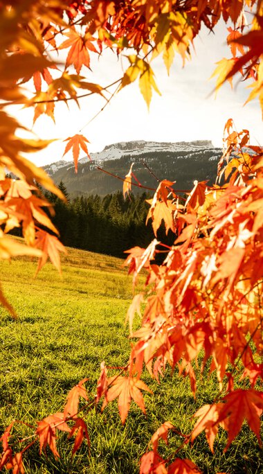 © Kleinwalsertal Tourismus eGen • Photographer: Dominik Berchthold