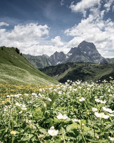 Panorama des Derratals mit Blumenwiese im Vordergrund und Bergen im Hintergrund bei schönem Wetter. | © Kleinwalsertal Tourismus eGen • Fotograf: Dominik Berchtold