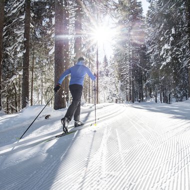 Person cross-country skiing through a snowy forest on a groomed trail with sunlight shining through the trees. | © Kleinwalsertal Tourismus eGen • Photographer: Dominik Berchtold