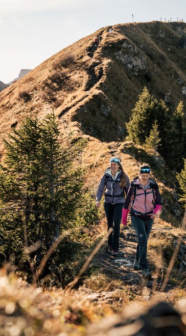 Zwei wandernde Frauen auf einem schmalen Bergpfad mit einer beeindruckenden Bergkulisse im Hintergrund, umgeben von Tannenbäumen.