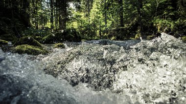 A fast-flowing stream in a lush green forest with sunlight filtering through the trees. | © Kleinwalsertal Tourismus eGen • Photographer: Oliver Farys