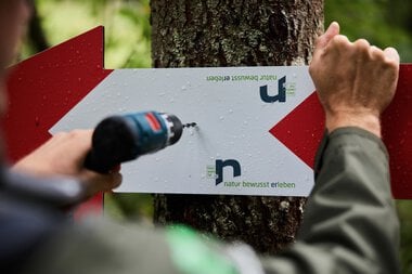 Person befestigt ein Schild an einem Baum, während sie mit einem Akku-Schraubgerät arbeitet, im Wald bei Sommerwetter. | © Kleinwalsertal Tourismus eGen • Fotograf: Oliver Farys