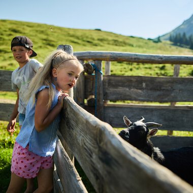 Three children curiously watch a goat behind a wooden fence on an alpine meadow in Kleinwalsertal, with green fields and mountains in the background on a sunny day. | © Kleinwalsertal Tourismus eGen • Photographer: Oliver Farys