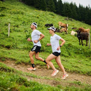 Zwei Frauen joggen einen grasbewachsenen Trail im Grünen, umgeben von Kühen und Blick auf den Wald im Hintergrund. | © Kleinwalsertal Tourismus eGen • Fotograf: Oliver Farys