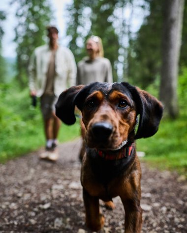 © Kleinwalsertal Tourismus eGen • Photographer: Oliver Farys