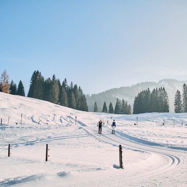 Snow-covered winter landscape with skiers, clear blue sky, background of pine trees and gentle hills in Kleinwalsertal. | © Kleinwalsertal Tourismus eGen • Photographer: Oliver Farys