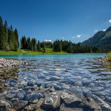 Clear mountain lake with rocky shores, surrounded by green meadows and dense pine forests under a blue sky. | © Kleinwalsertal Tourismus eGen • Photographer: Robert Niederwolfsgruber