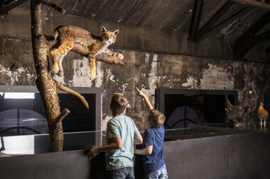 Two children observing a mounted jaguar exhibit in a natural history museum. | © Kleinwalsertal Tourismus eGen • Inatura Dornbirn • Photographer: Petra Rainer