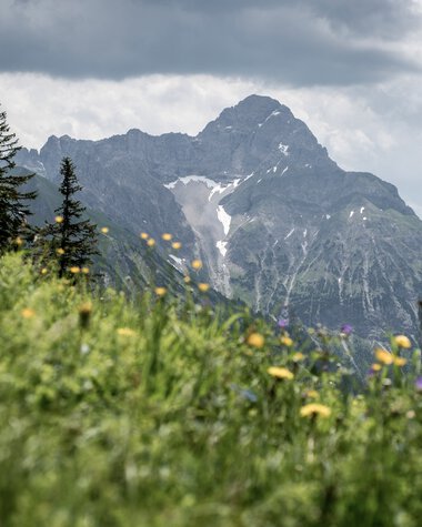 Landscape with green meadows, colorful flowers in the foreground, and mountain peaks under a cloudy sky. | © Kleinwalsertal Tourismus eGen • Photographer: Dominik Berchtold