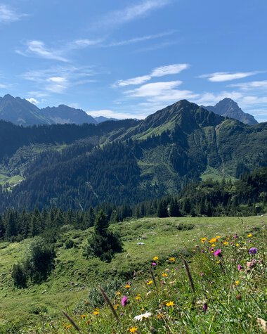 Panoramic view of green hills and mountains in summer with blooming meadows in the foreground. | © Kleinwalsertal Tourismus eGen