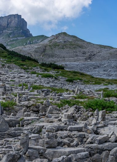 Mountain landscape with gray rocks and green plants at the base of a hill under a blue sky. | © Kleinwalsertal Tourismus eGen • Photographer: Steffen Berschin