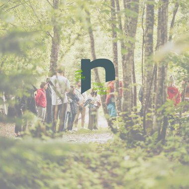 Group of people walking along a forest path in sunlight, with trees and green nature in the background. | © Kleinwalsertal Tourismus eGen