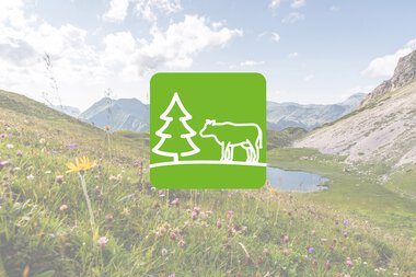 Bild einer Berglandschaft mit Blumenwiese, Seen und Bergen im Hintergrund, mit einem grünen Tierschutz- und Naturschutz-Logo in der Mitte. | © Kleinwalsertal Tourismus eGen