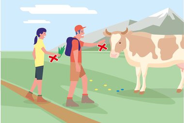 Zwei Wanderer halten Abstand zu einer Kuh auf einer Alm, um die Tiersicherheit zu gewährleisten. | © Bundesministerium für Nachhaltigkeit und Tourismus