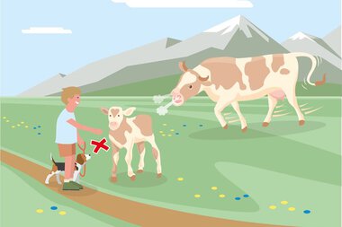Ein Jugendlicher streichelt Ziegen auf einer Wiese in den Bergen, im Hintergrund sind Berge und Wolken zu sehen. | © Bundesministerium für Nachhaltigkeit und Tourismus