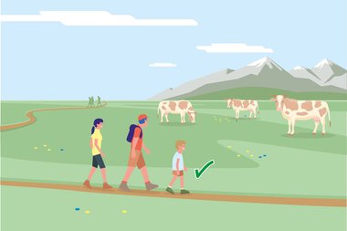 Familie mit Kind wandert auf einem Pfad an grasenden Kühen in den Bergen vorbei, unter blauem Himmel. | © Bundesministerium für Nachhaltigkeit und Tourismus